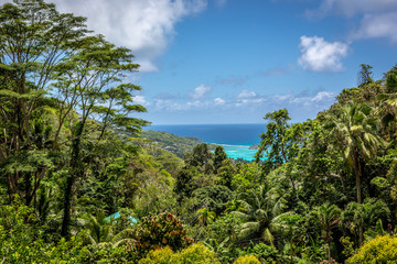 Fototapeta na wymiar High view of the sea in Mahe with the green tropical forest in the foreground in a sunny blue sky day