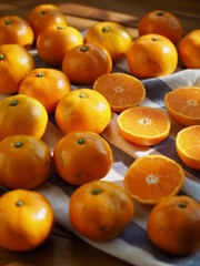 한국의 과일 제주감귤