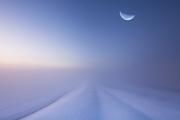 厳冬の早朝に発生したホワイトアウトと下弦の月 - obrazy, fototapety, plakaty