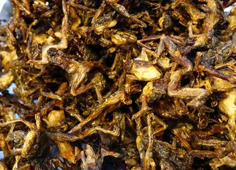 Yummy Fried Frogs
