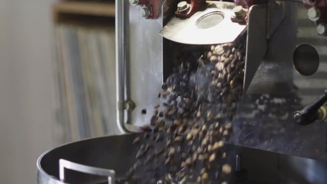 Slow motion shot of roasted coffee beans pouring out of a coffee roaster into the cooling rack.