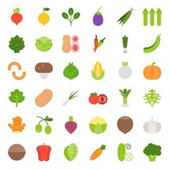 Vegetable icon set, flat style vector illustration