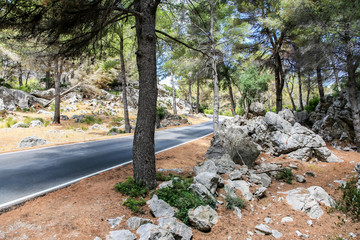 Road in the countryside Majorca