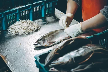 Foto op Canvas fish factory process © agnormark