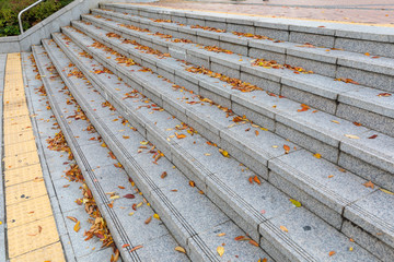 outdoor staircase in autumn at Seoul, Korea.