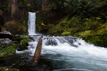 Toketee Falls, Umpqua National Forest, Oregon