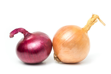 red onion (Allium cepa) fresh isolated Is a plant that uses the roots or leaves and many nutrients on white background and clipping path