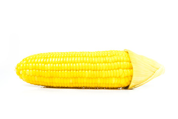 corn or maize (Zea mays Linn) fresh isolated on white background and clipping path
