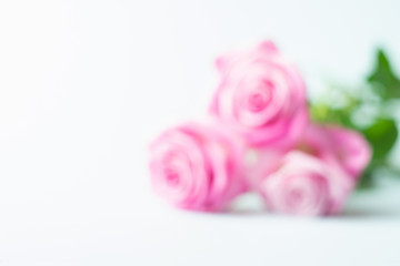 Pink roses on a light pastel background. Delicate bouquet for the holiday. Blurred focus. Frame for postcards. Copy space.