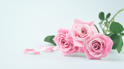 Pink roses on a light pastel background. Delicate bouquet for the holiday. Selective focus. Frame for postcards. Copy space.