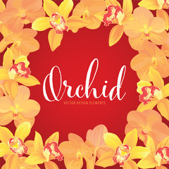 Orchid flower frame in yellow color on red background. Vector set of exotic tropical garden for holiday invitations, wedding, greeting card and fashion design.