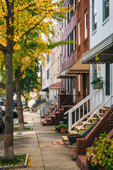 Fototapeta premium Fall color and row houses in Remington, Baltimore, Maryland