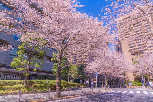 106 Best 六本木一丁目images Stock Photos Vectors Adobe Stock 106 Best 六本木一丁目images Stock Photos Vectors Adobe Stock