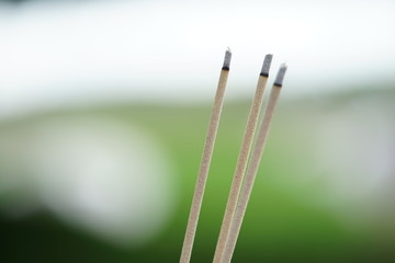 close up Burning incense sticks in green bokeh background , worship, prayer