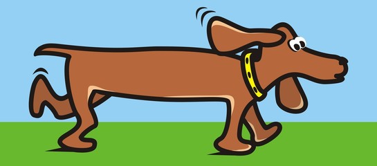 Dachshund, running dog, funny illustration