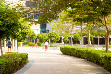 beautiful greenery at park with green tress. Residential buildings covered with glass in Jumeirah Lake Towers in Dubai, UAE.