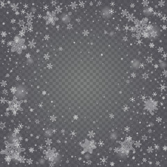 Fototapeta premium Vector snowfall, snowflakes of various shapes. Many white cold flaky elements on transparent background. White falling fly in the air.