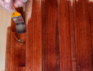 Close up hand use brush paint clear lacquer on the wood surface. Hands are protected by gloves....