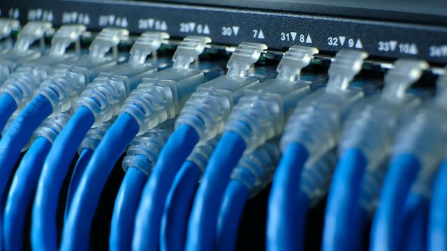 Network cable connecting on Network gigabit switch and LED port status is blink. UTP port cat6 for high speed network