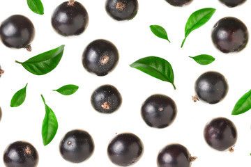 black currant isolated on white background with copy space for your text. Top view. Flat lay pattern