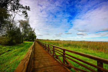 Narwiański Park Narodowy © Janusz Lipiński