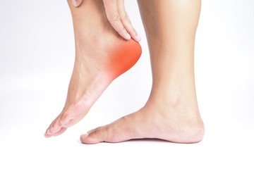 Heel pain , Tendon inflammation , Plantar fasciitis.