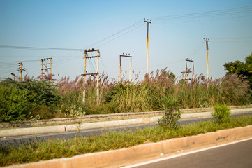 Electric poles, lines and green trees on the sides