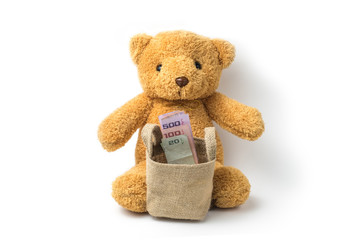 Teddy bear and thailand money baht isolate there are many varieties. The concept of saving money and the growth of the economy. on white background and clipping path.