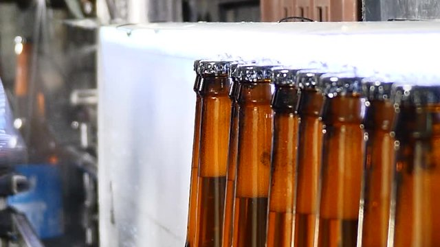 Brewery concept. Beer factory. Automatic Beer Bottling Line. Queue of ready filled bottles on the conveyer. Close up shot of hand taking bottles off the transporting line. 4k