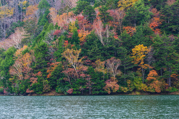 View of Yuno Lake in autumn season at Nikko national park, Nikko, Japan.