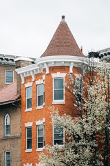 Row houses on Charles Street in Charles Village, Baltimore, Maryland.