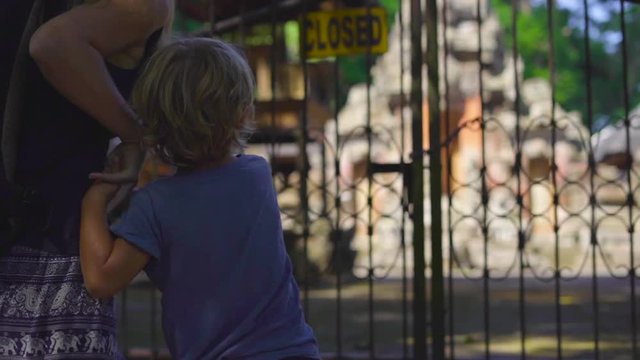 Slowmotion shot of a young woman and her little son visiting the Monkeys forest eco park in Ubud, Indonesia