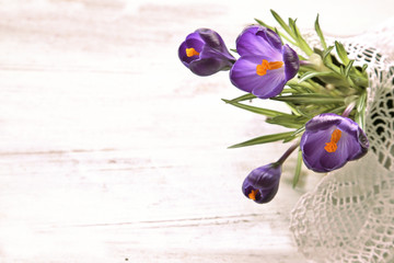 Crocus flowers with lace on wooden table 