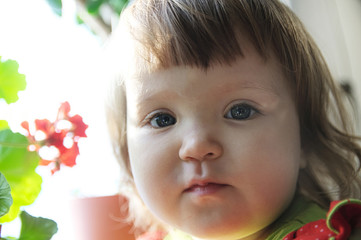 Fototapeta premium little girl portrait looking at camera close-up