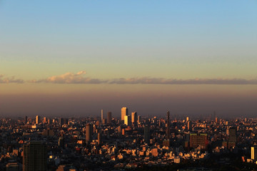 Fototapeta premium Panoramic view of Tokyo at dusk