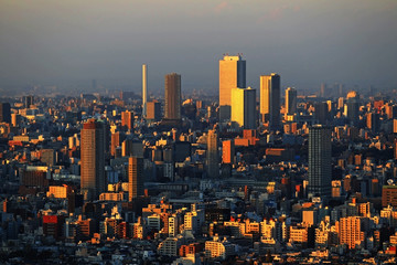 Obraz premium Panoramic view of Tokyo at dusk