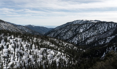 Mt. Baldy