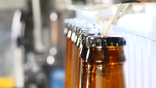 Brewery concept. Beer factory. Automatic Beer Bottling Line. Closeup shot of Queue of ready filled bottles on the conveyer. 4k