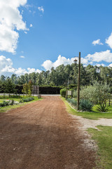 Road
