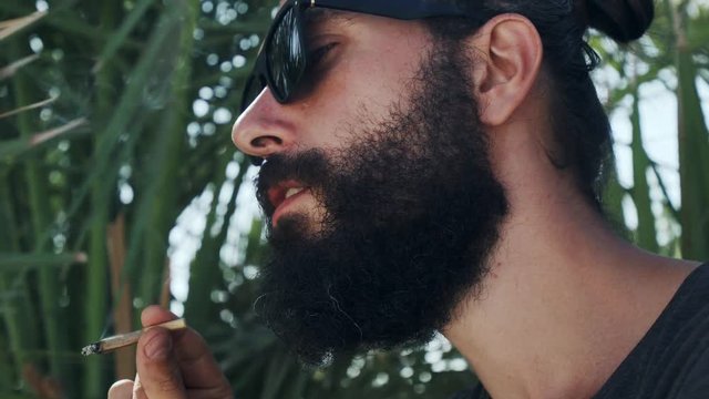 Close up bearded man in sunglasses smoking weed on a background of palm leaves