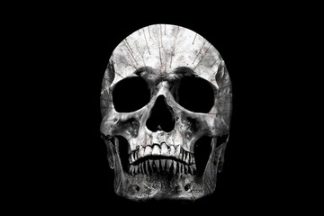 The skull which trees and snow inside on a black background