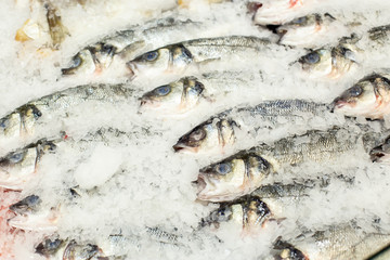 Fish in ice on the store counter