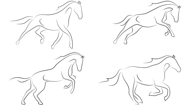 Black line horse on white background. Running horse sketch style. Vector graphic icon animal.