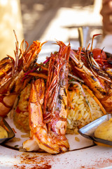 Scampi