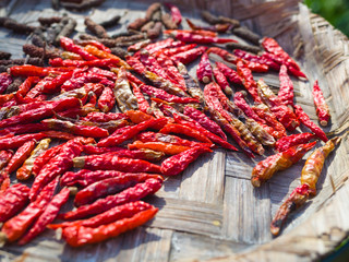 Dried red chilli on baboom tray