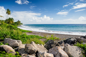 Fototapeta na wymiar Beach on a St. Kitts island with black sand