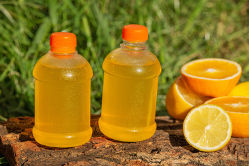 Lemonade in a glass, lemons, oranges on a tree on background of green grass in the garden on a sunny day
