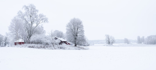 Winter landscape in the countryside with a barn