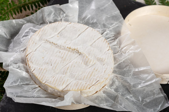 Camembert cheese traditional Normandy French, dairy product