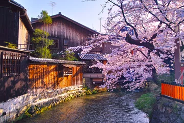 Keuken spatwand met foto 春の京都、満開の桜咲く祇園白川の風景     © 7maru